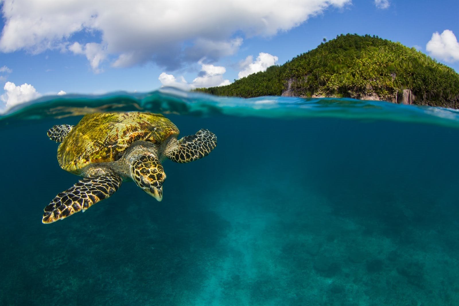 Fregate Private Island Resort en Fregate Private Island