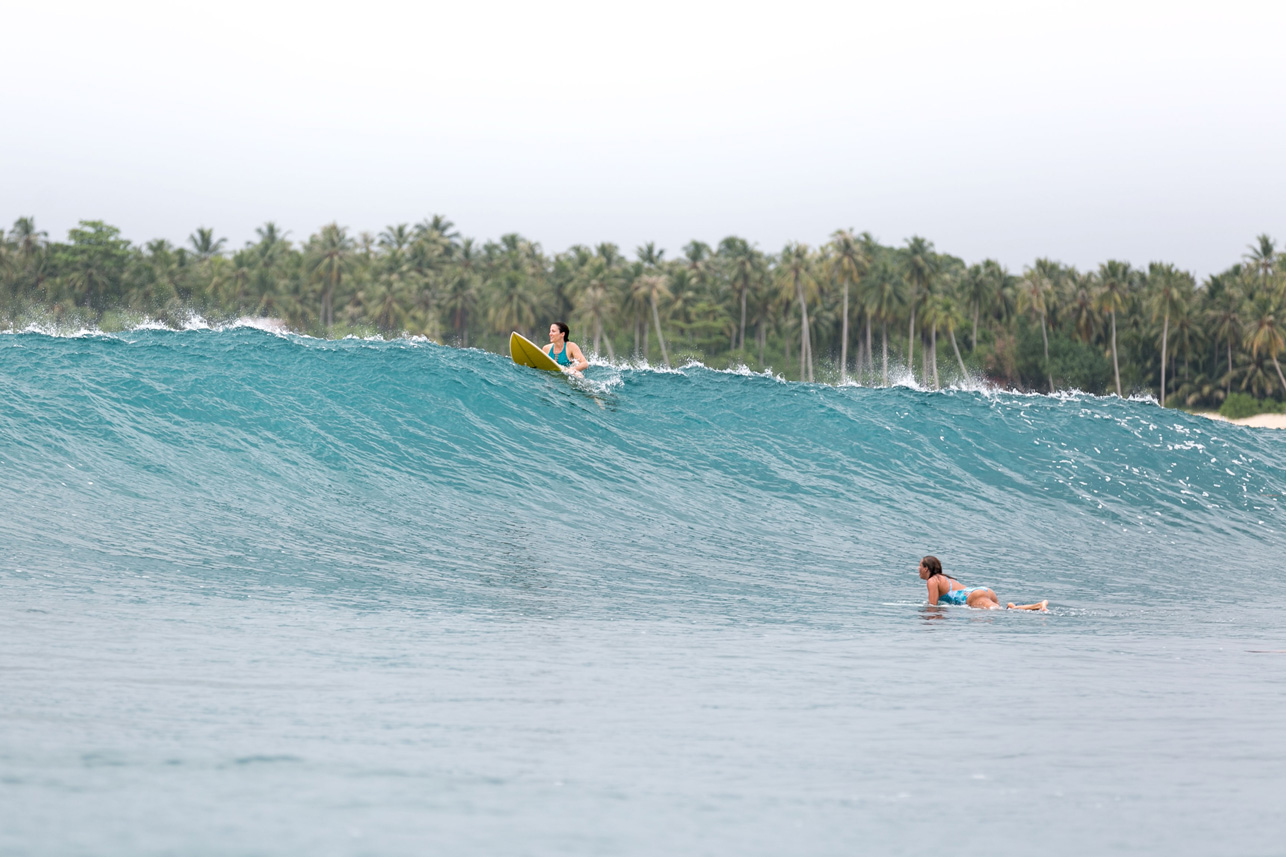 Hollow Tree's Resort en Islas Mentawai