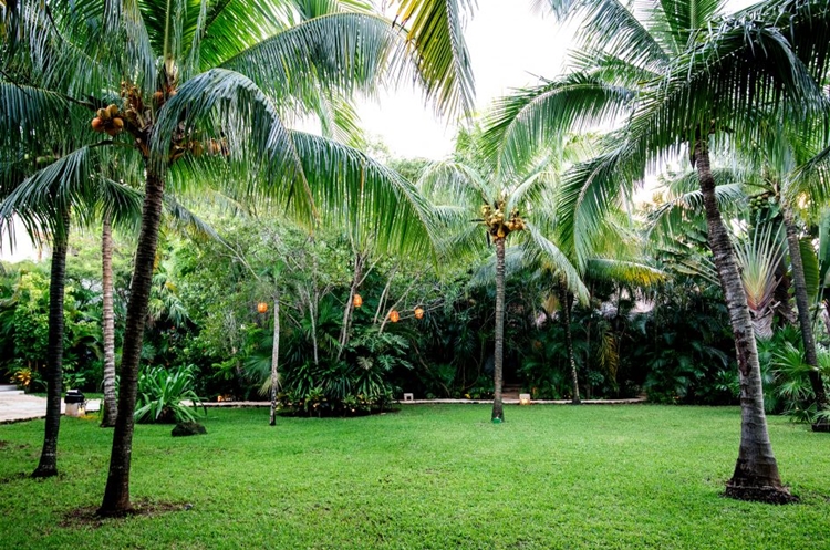 Hotel Esencia en Tulum