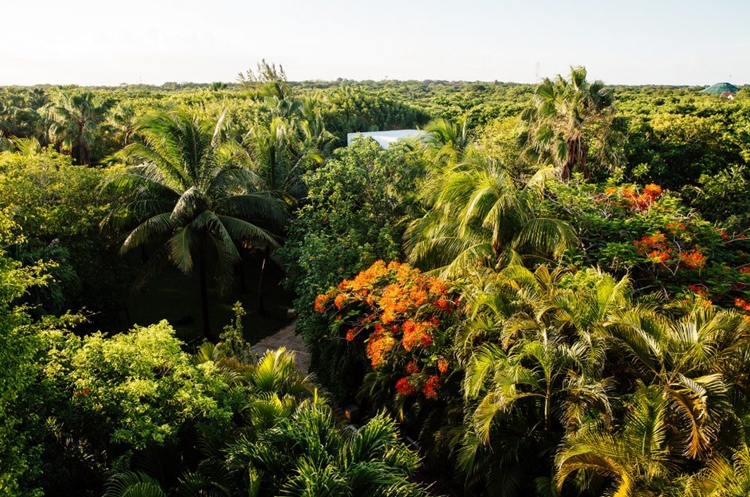 Hotel Esencia en Tulum