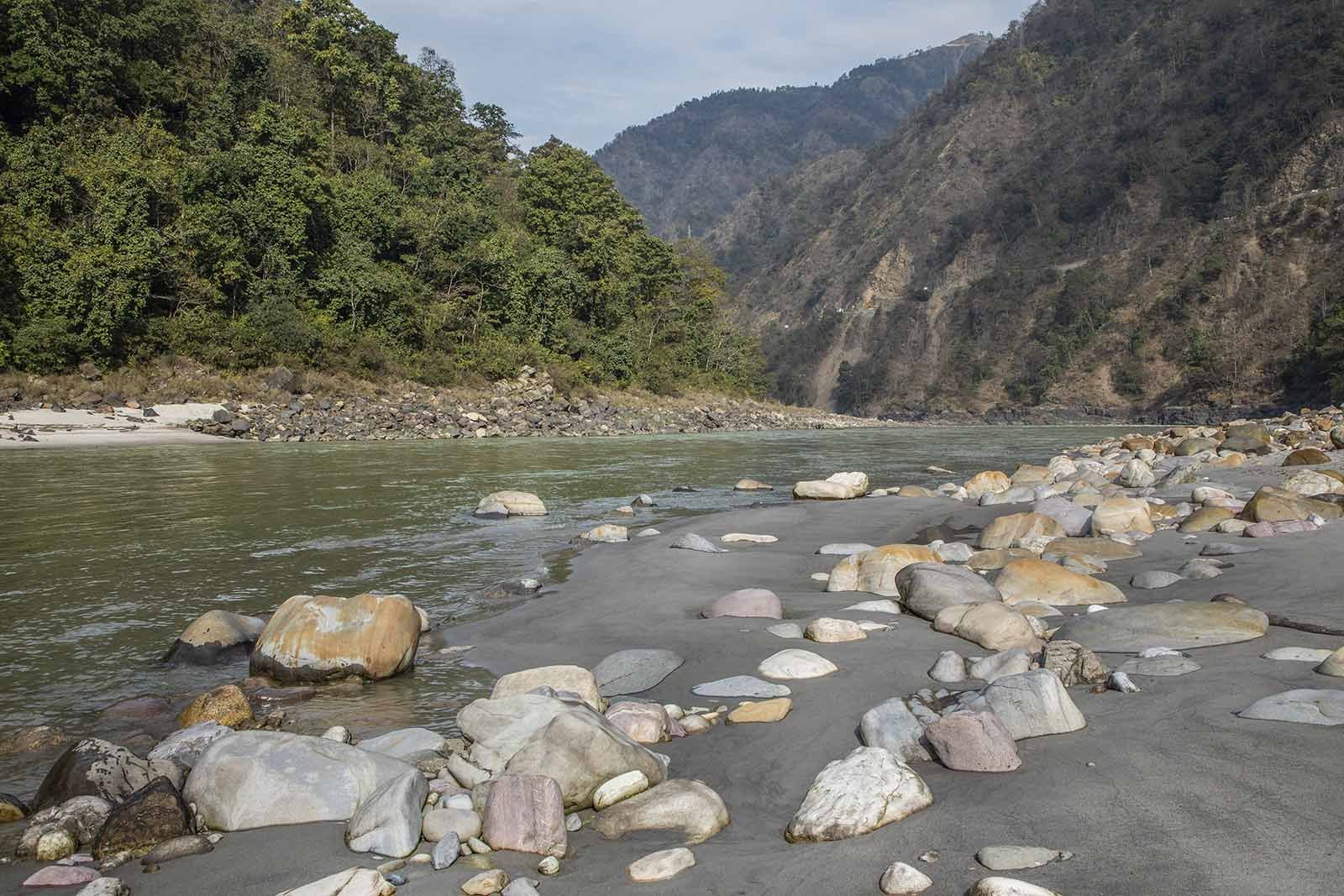 The Roseate Ganges en India