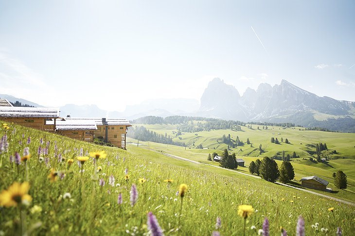 Adler Mountain Lodge  en Italy