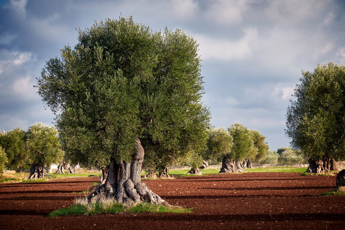 Borgo Egnazia en Italy
