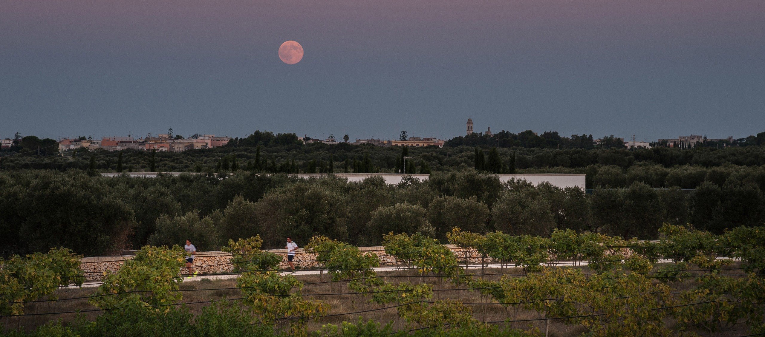 Furnirussi Tenuta en Italy