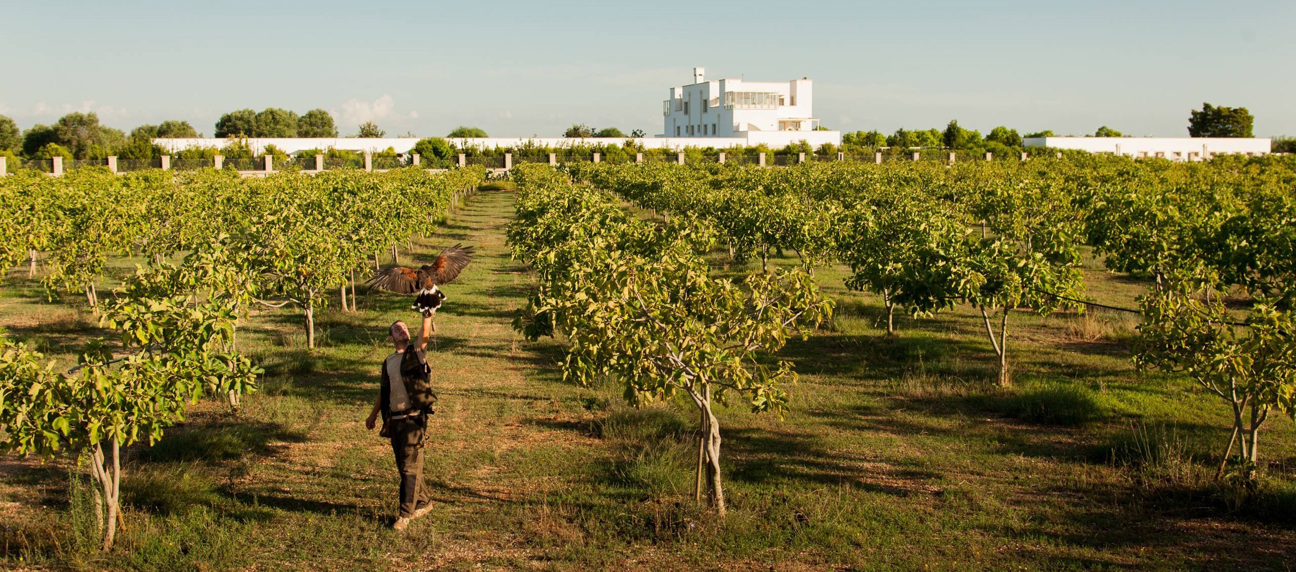 Furnirussi Tenuta en Italy