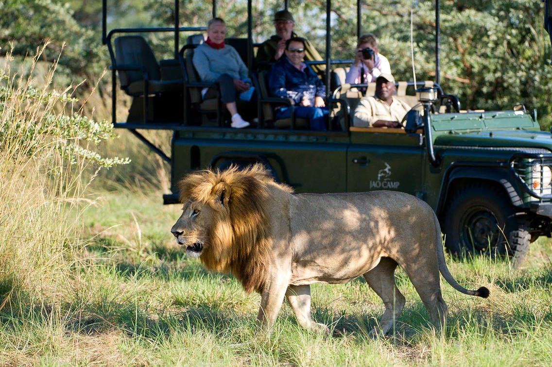 Jao Camp en Delta Okavango