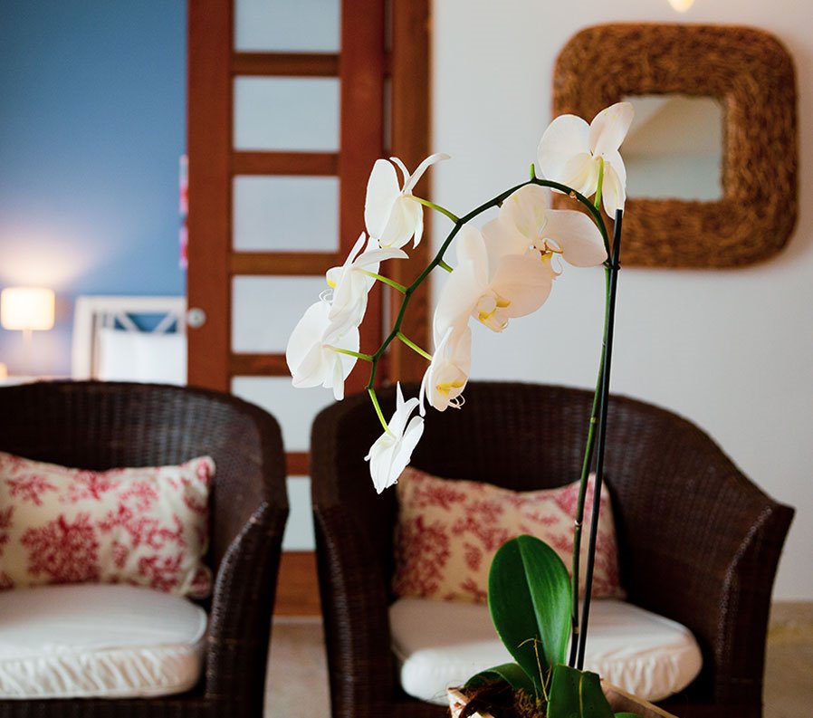 Sublime Samana Hotel en Las Terrenas
