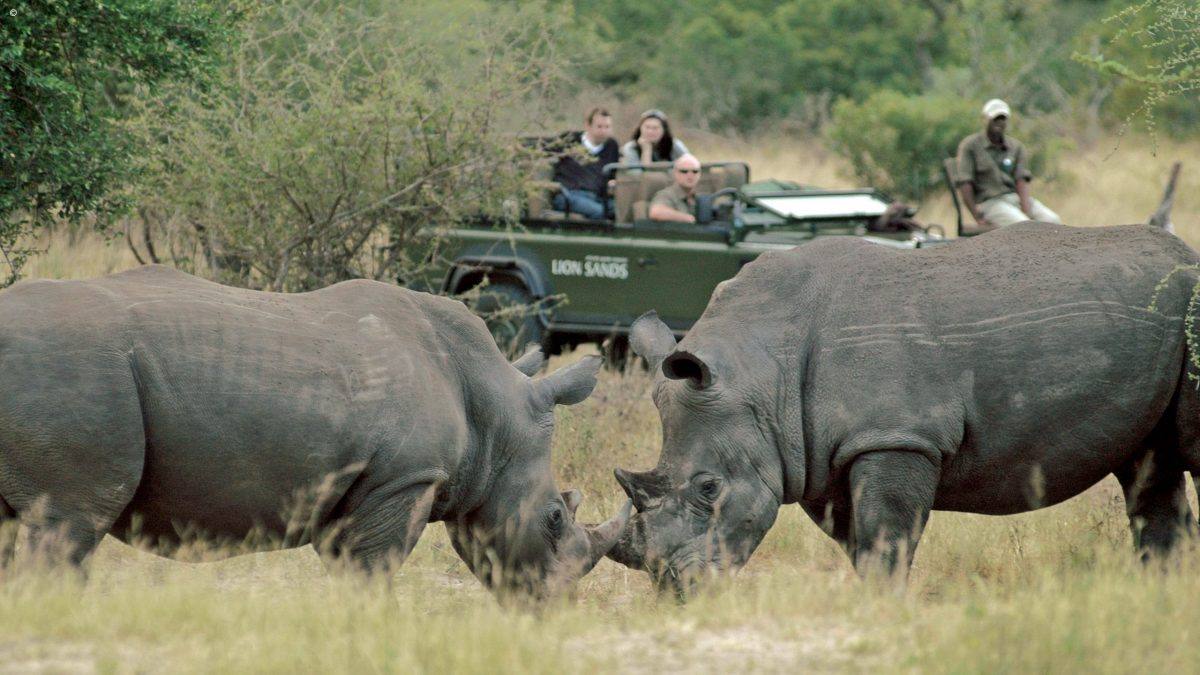 Lion Sands Ivory Lodge en Sabi Sands