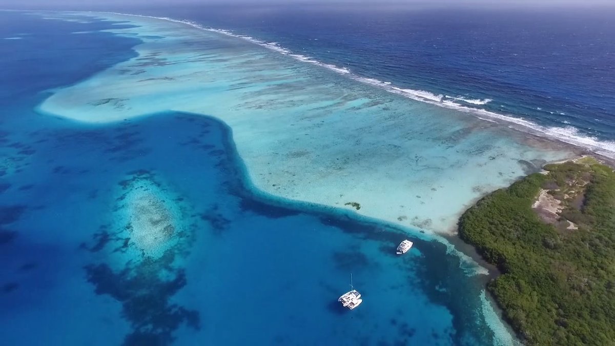 Los Roques | LAT.40