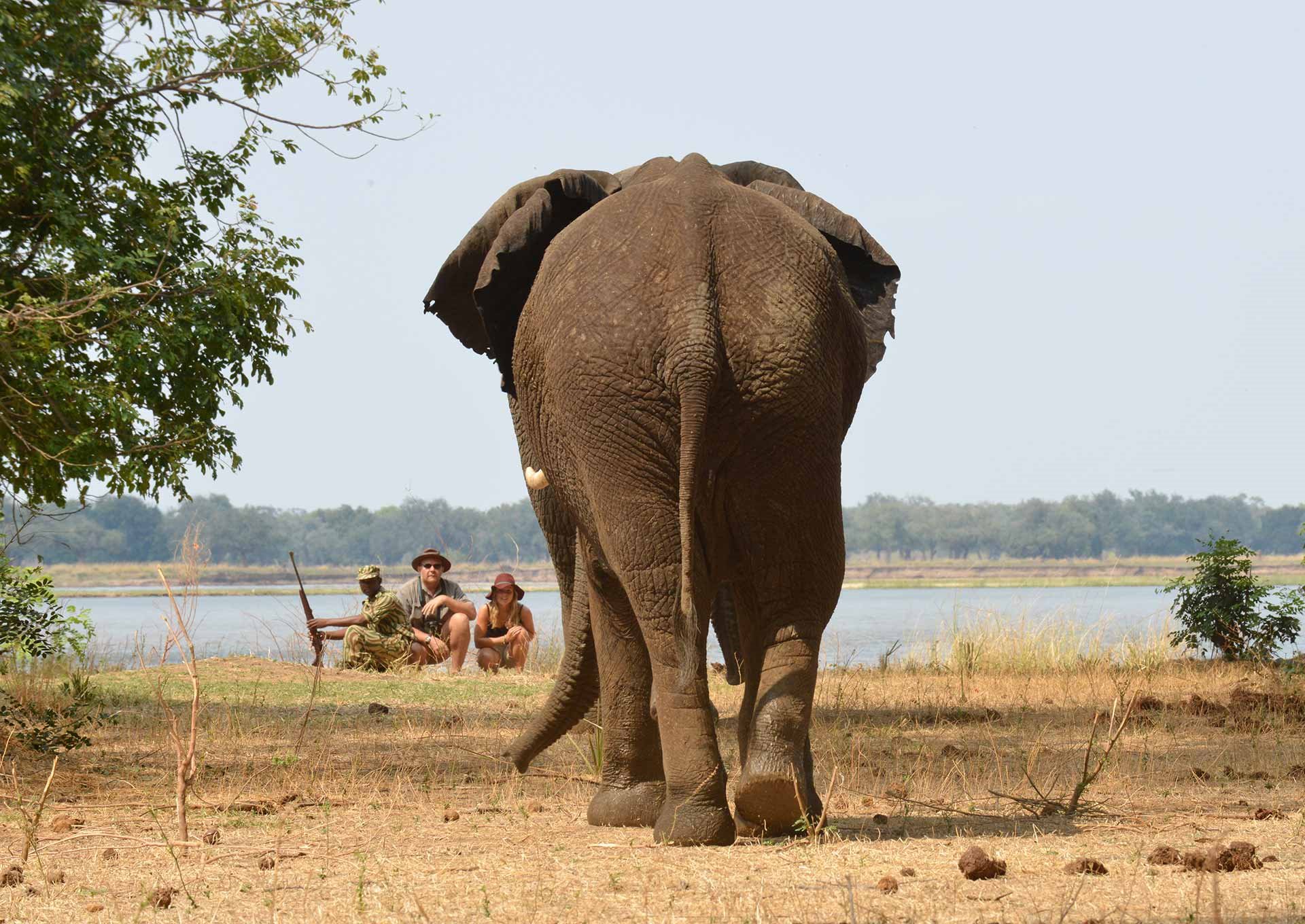 Sausage Tree Camp en Lower Zambezi