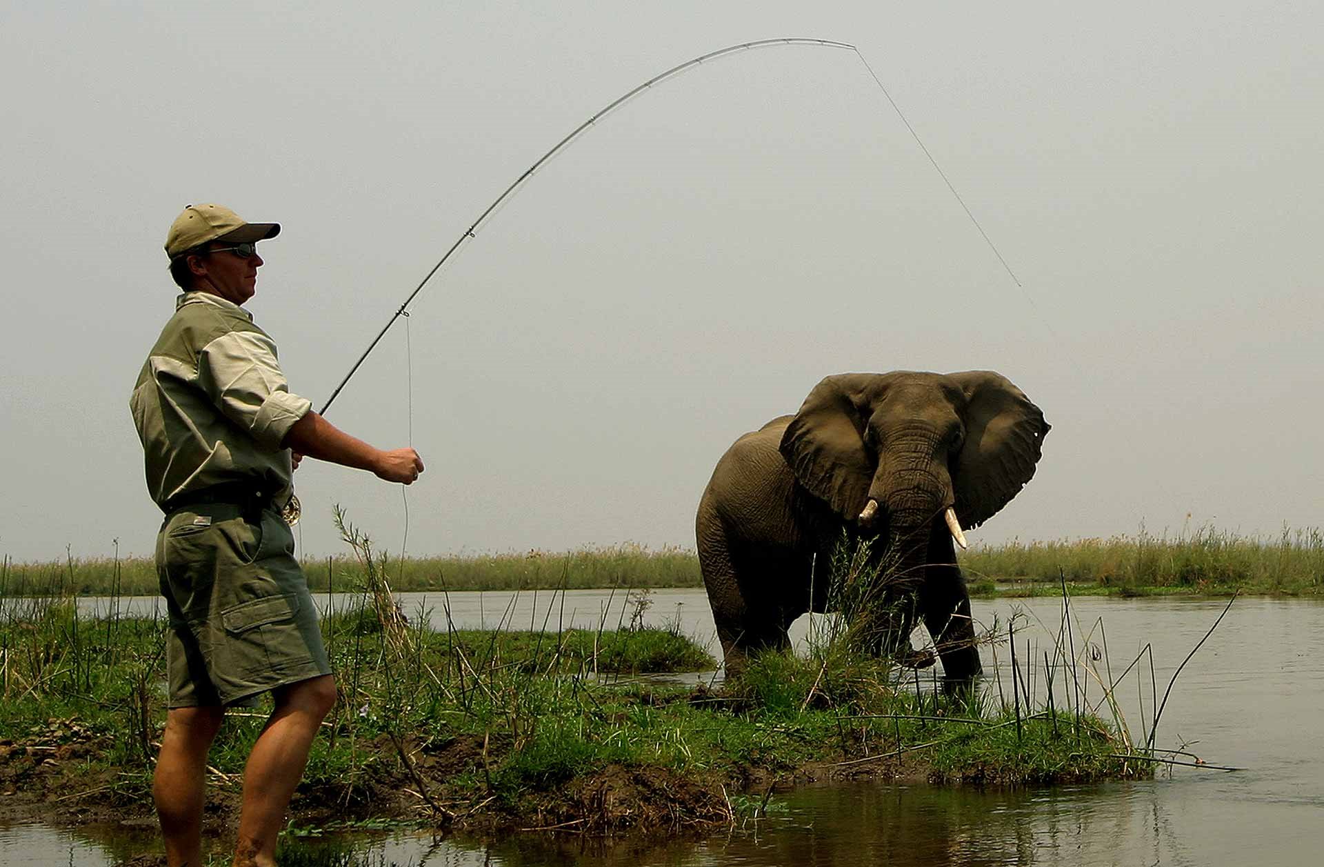 Sausage Tree Camp en Lower Zambezi