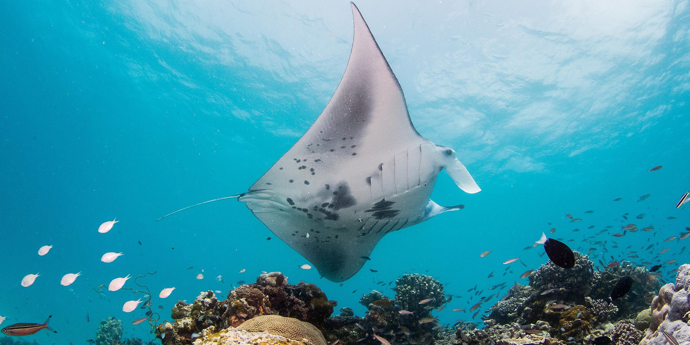 Intercontinental Maamunagau en Raa Atoll