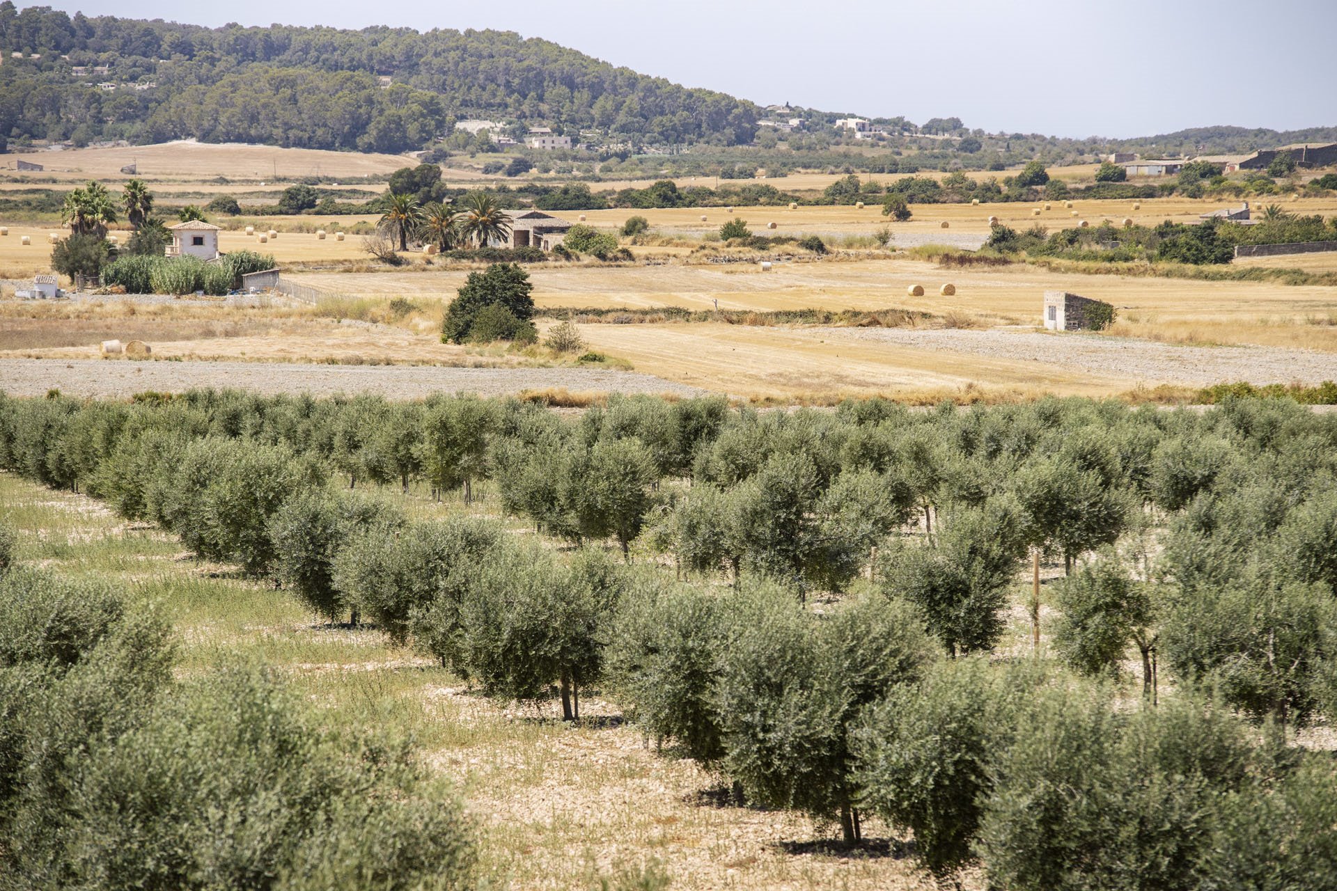 Agroturisme Gossalba en Mallorca