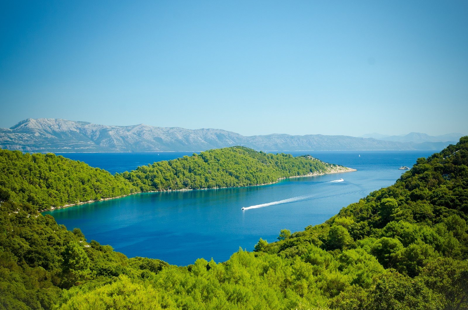 Mljet | LAT.40