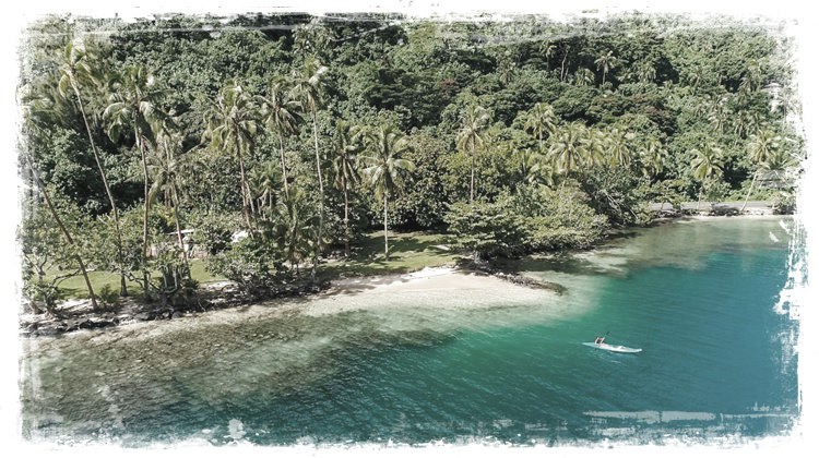 Robinson's Cove Villas en Moorea