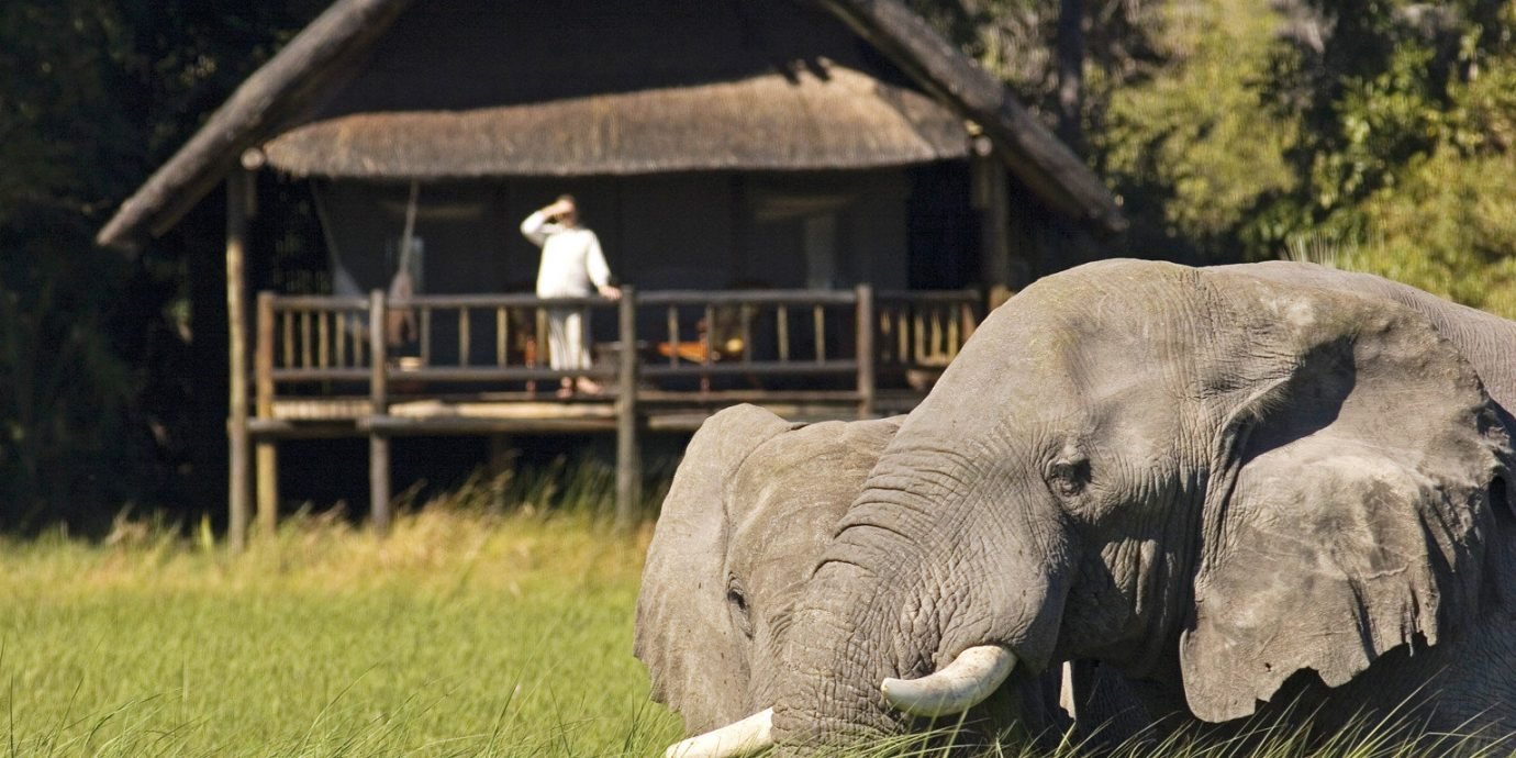 Belmond Khwai River Lodge en Moremi