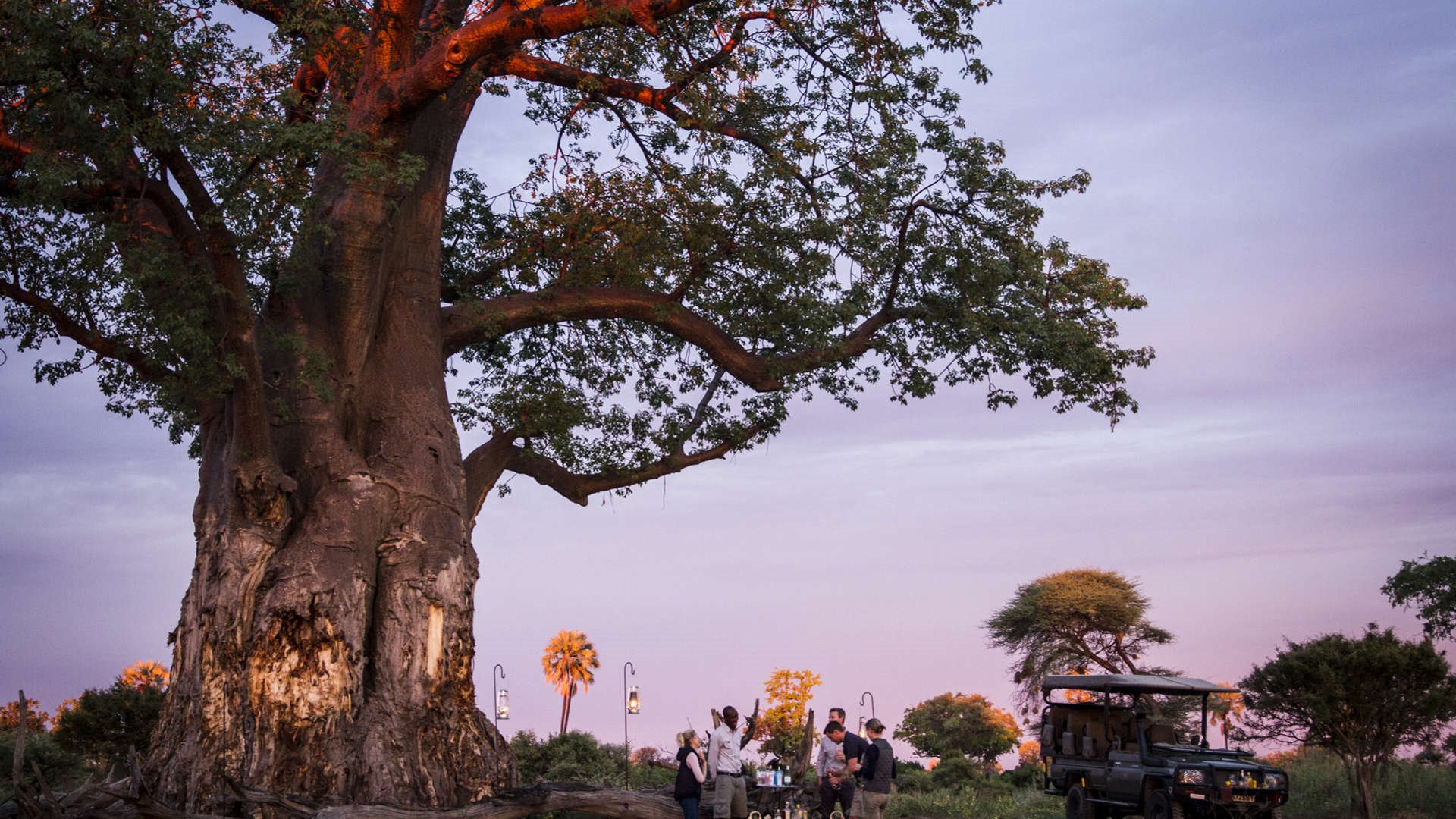 Mombo Camp en Moremi