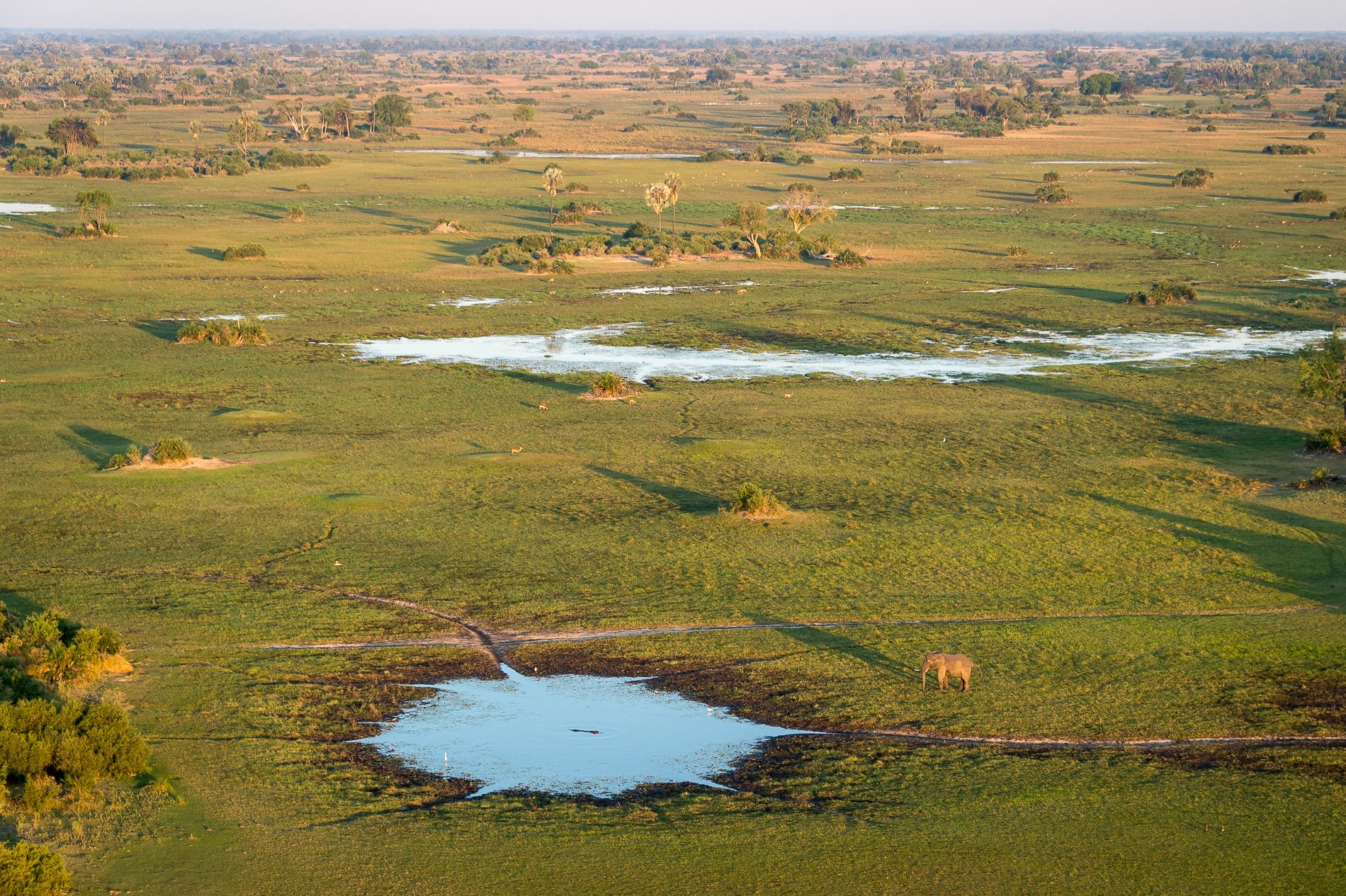 Mombo Camp en Moremi