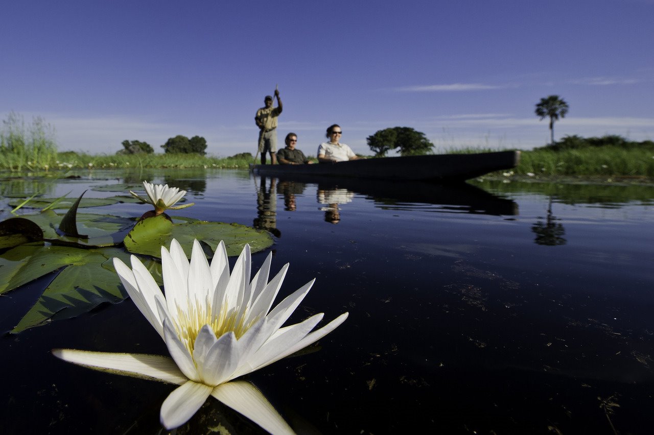 Mombo Camp en Moremi