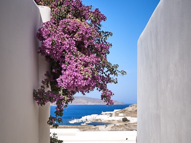 The Wild Hotel by Interni en Mykonos