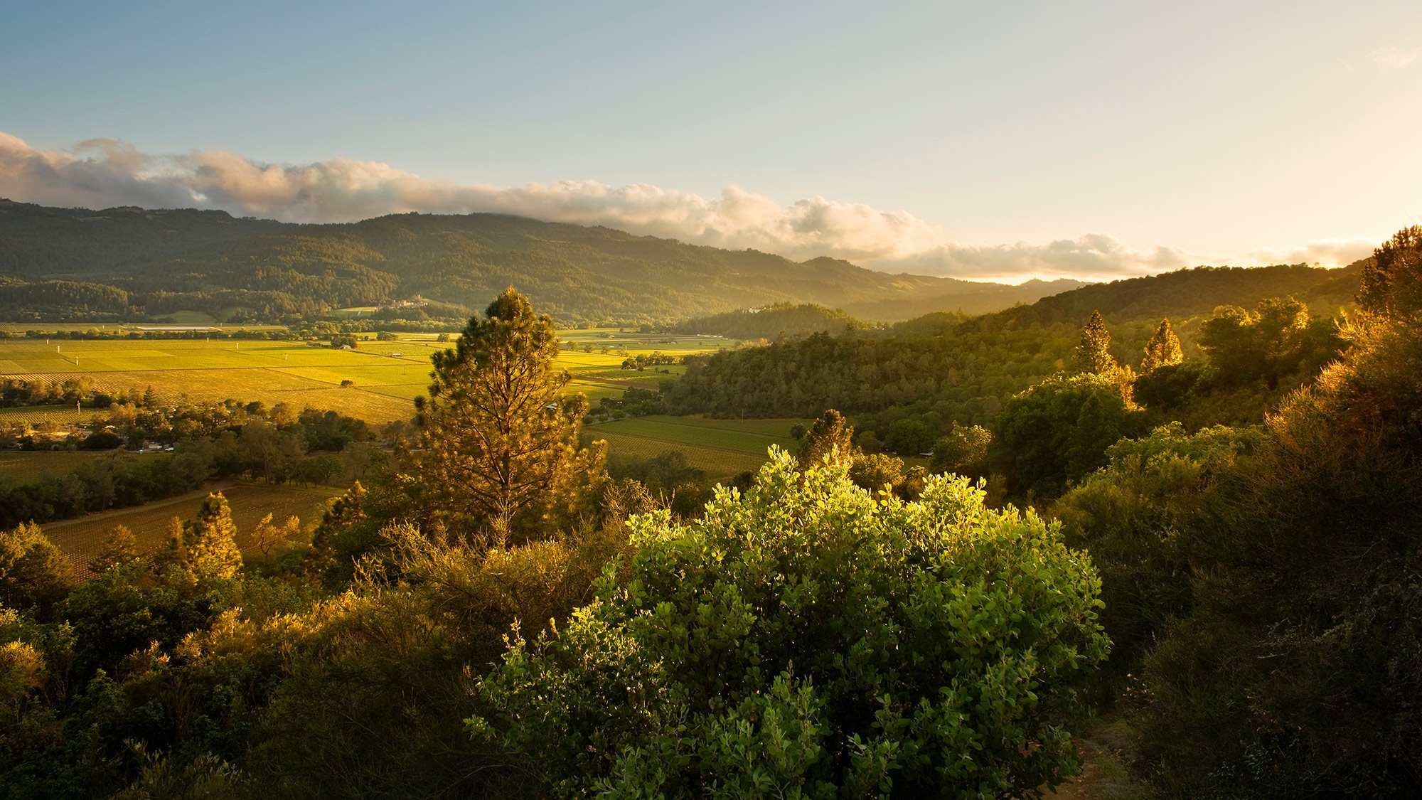 Napa Valley | LAT.40