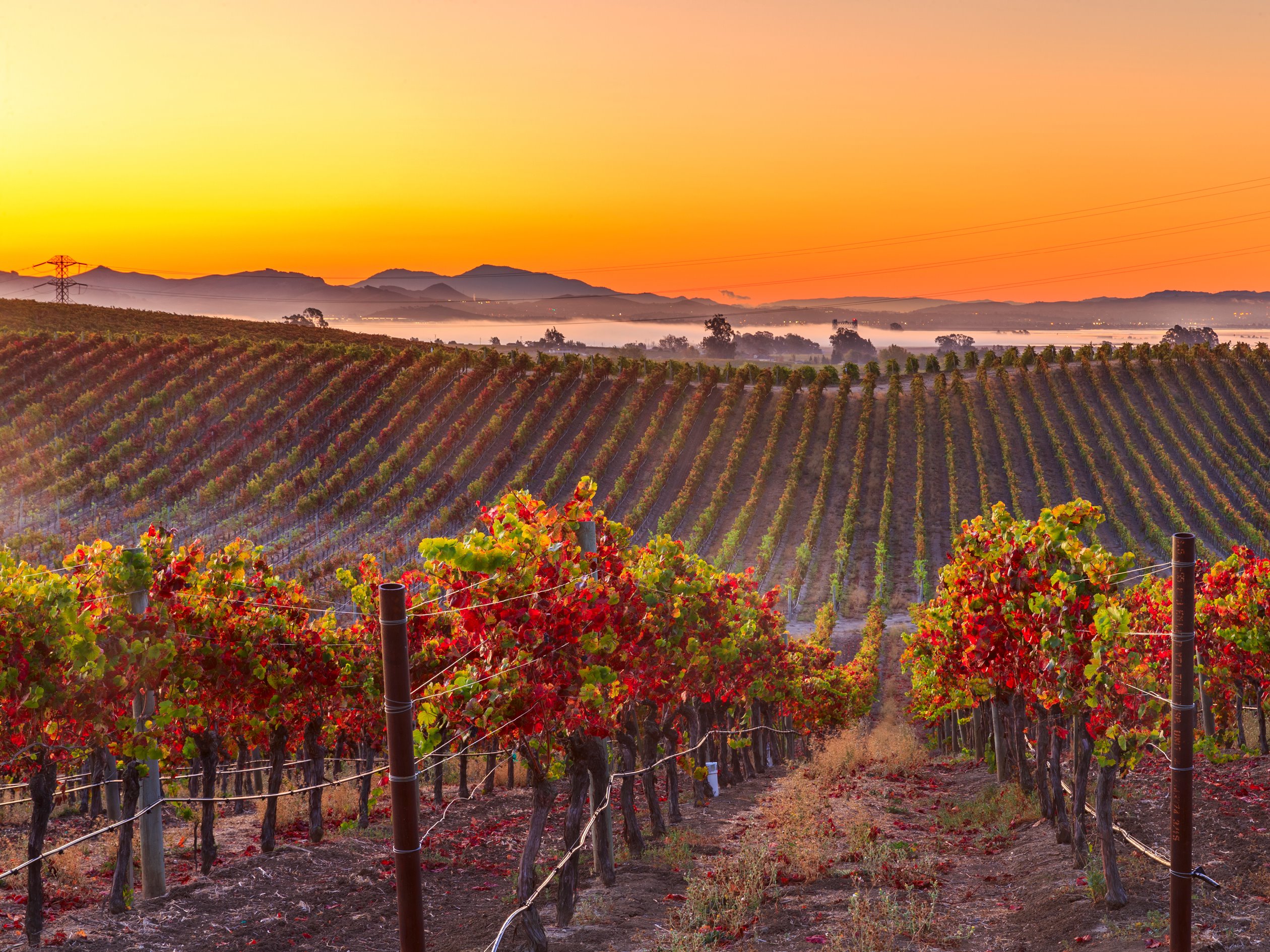Napa Valley | LAT.40