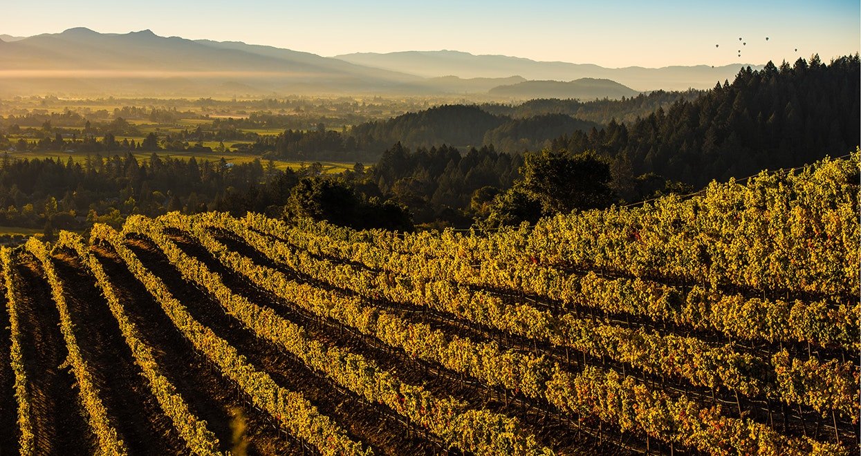 Napa Valley | LAT.40