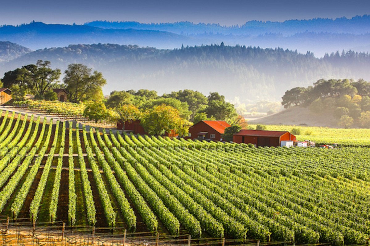 Napa Valley | LAT.40
