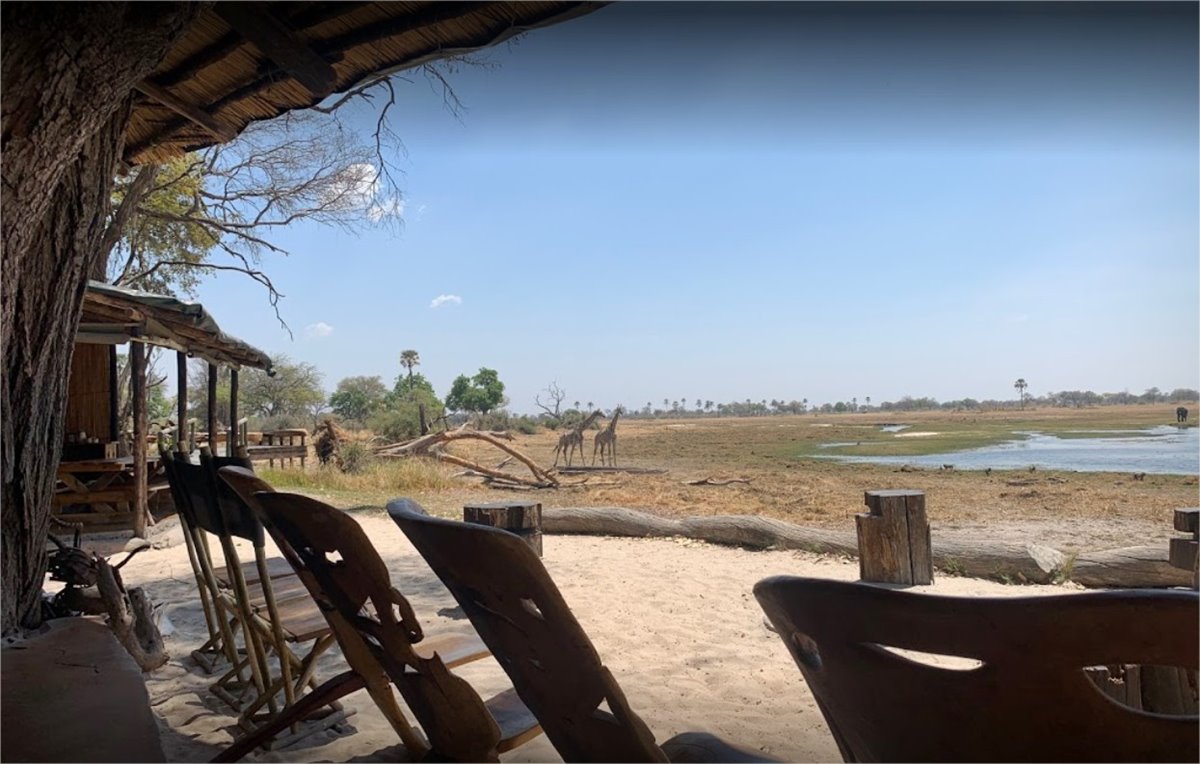 Oddballs Camp en Delta Okavango