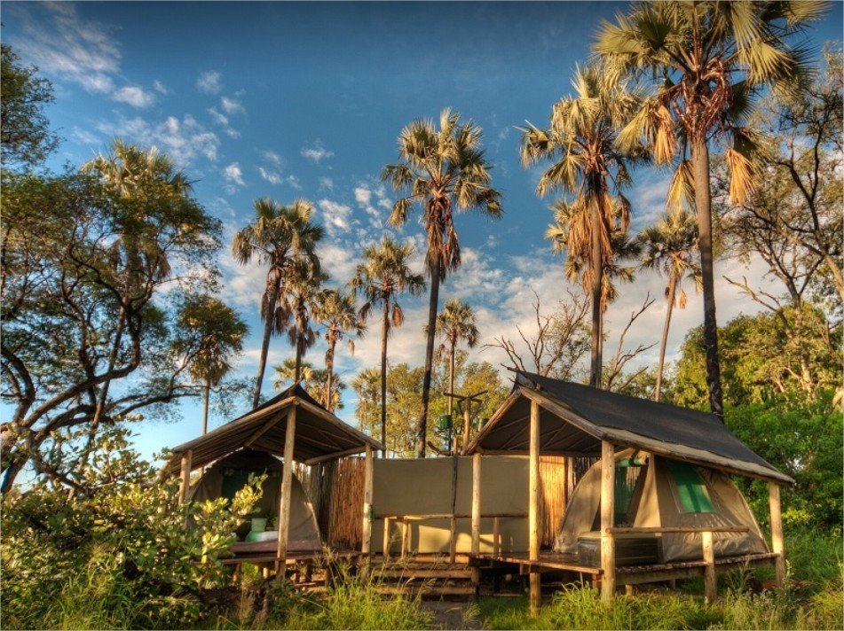 Oddballs Camp en Delta Okavango