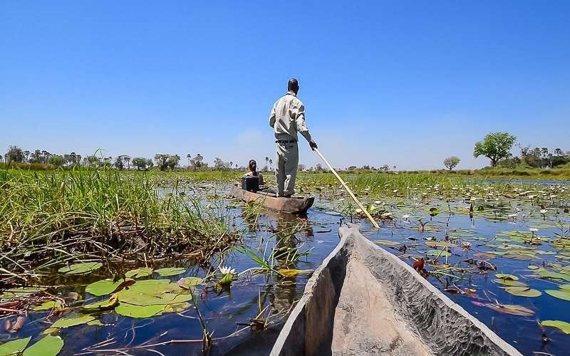 Oddballs Camp en Delta Okavango