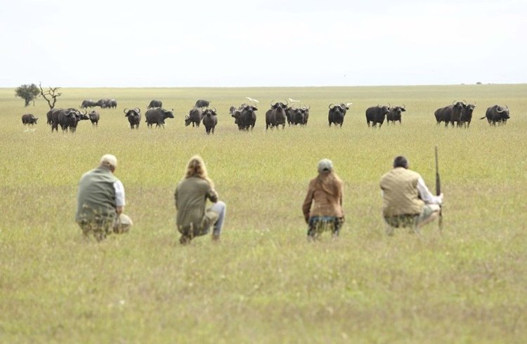 Ol Pejeta | LAT.40