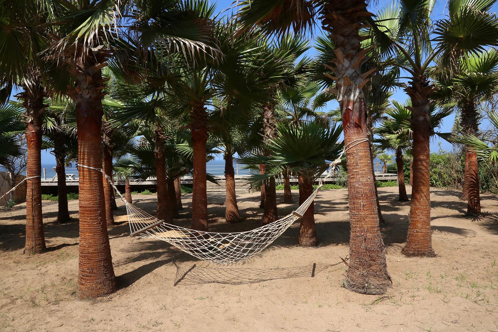 Imagen de viaje LAT.40