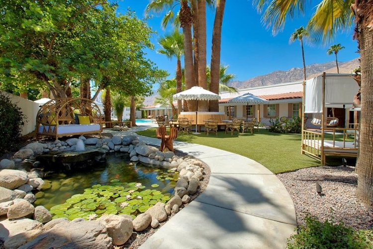 Dive Palm Springs en Palm Springs