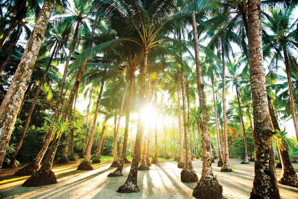Islas Secas Resort en Islas Secas