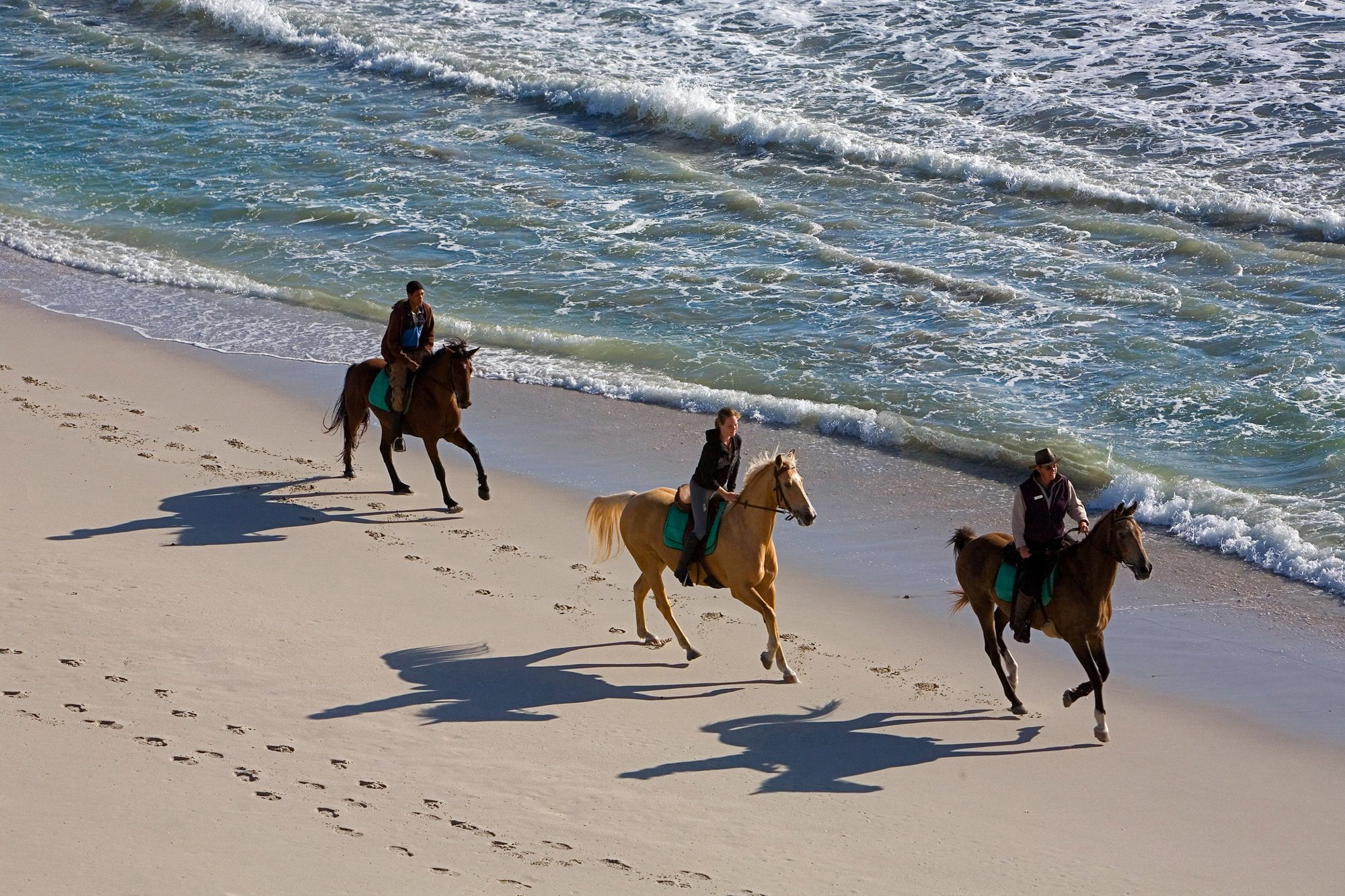 Grootbos Private Nature Reserve en South Africa