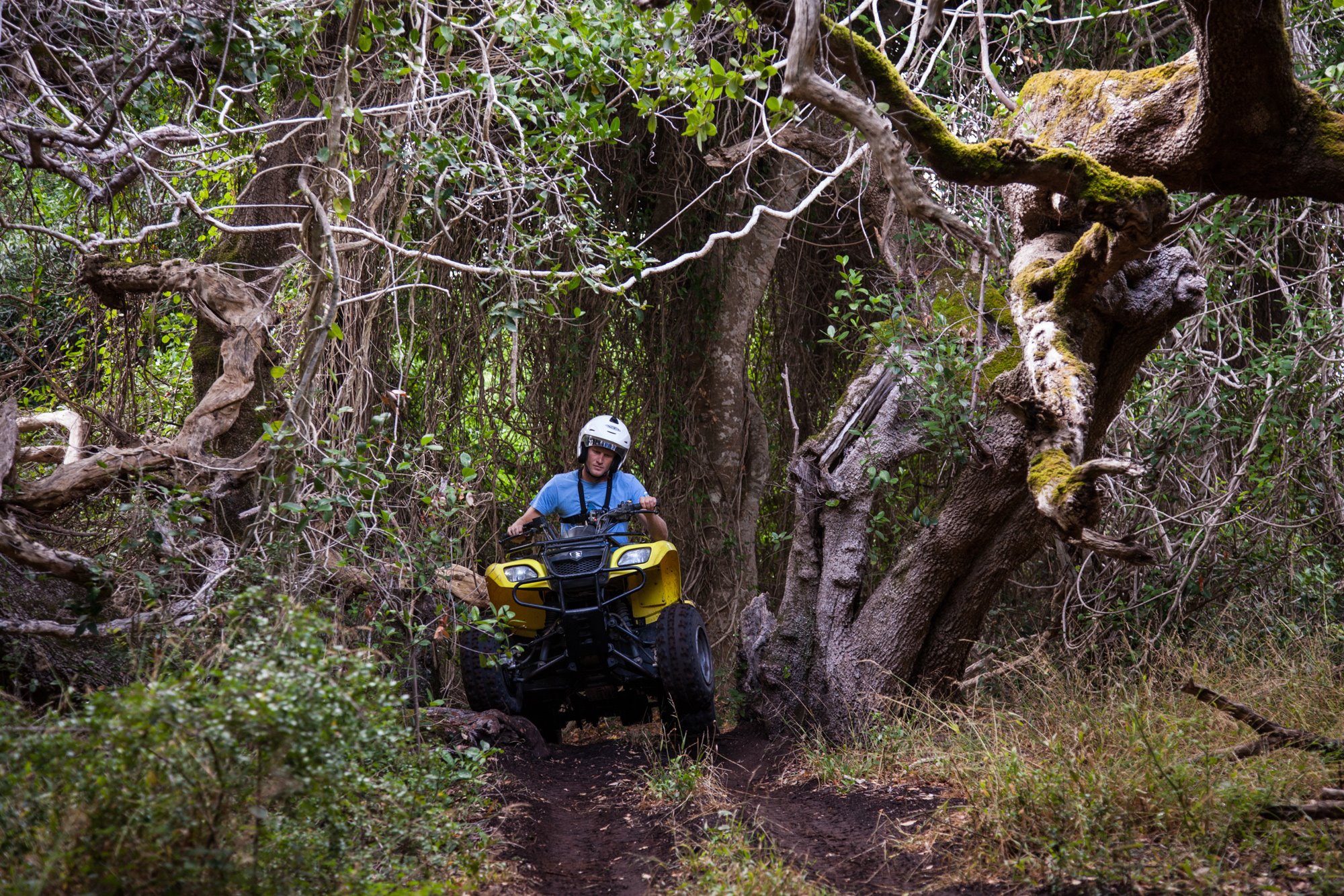 Grootbos Private Nature Reserve en South Africa