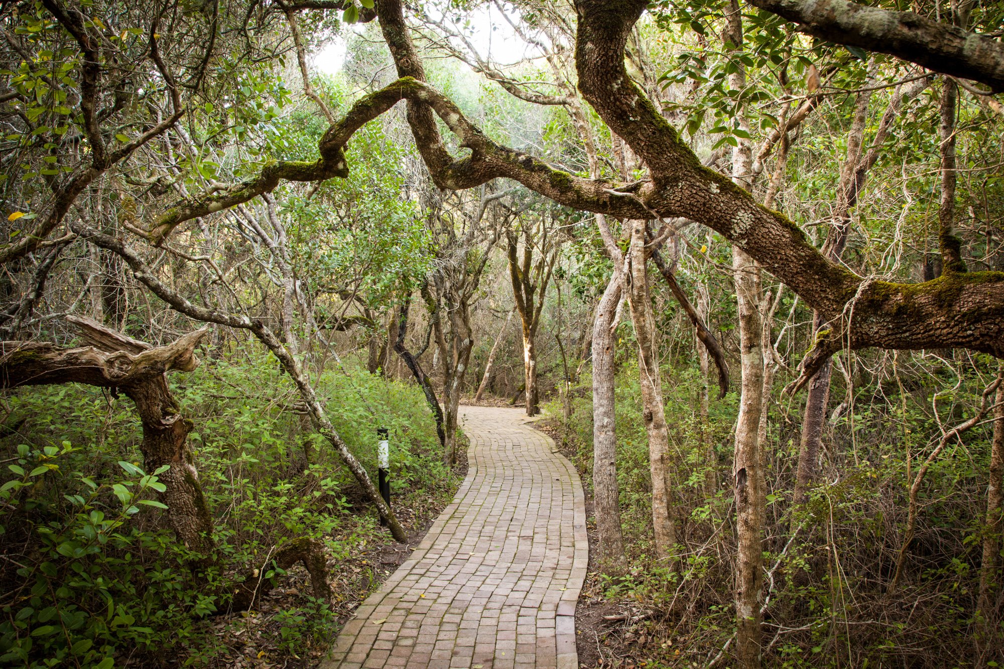 Grootbos Private Nature Reserve en South Africa