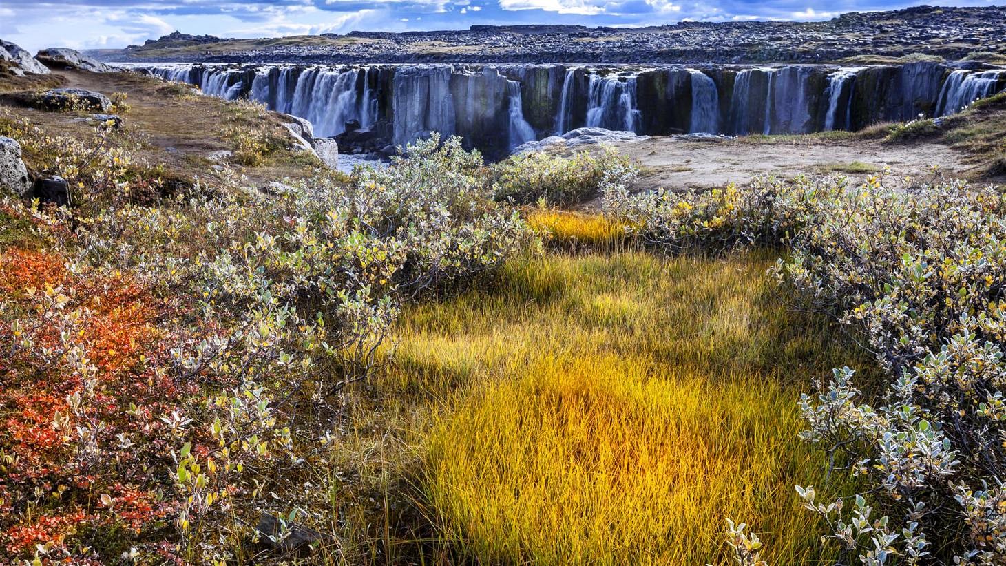 Selfoss | LAT.40