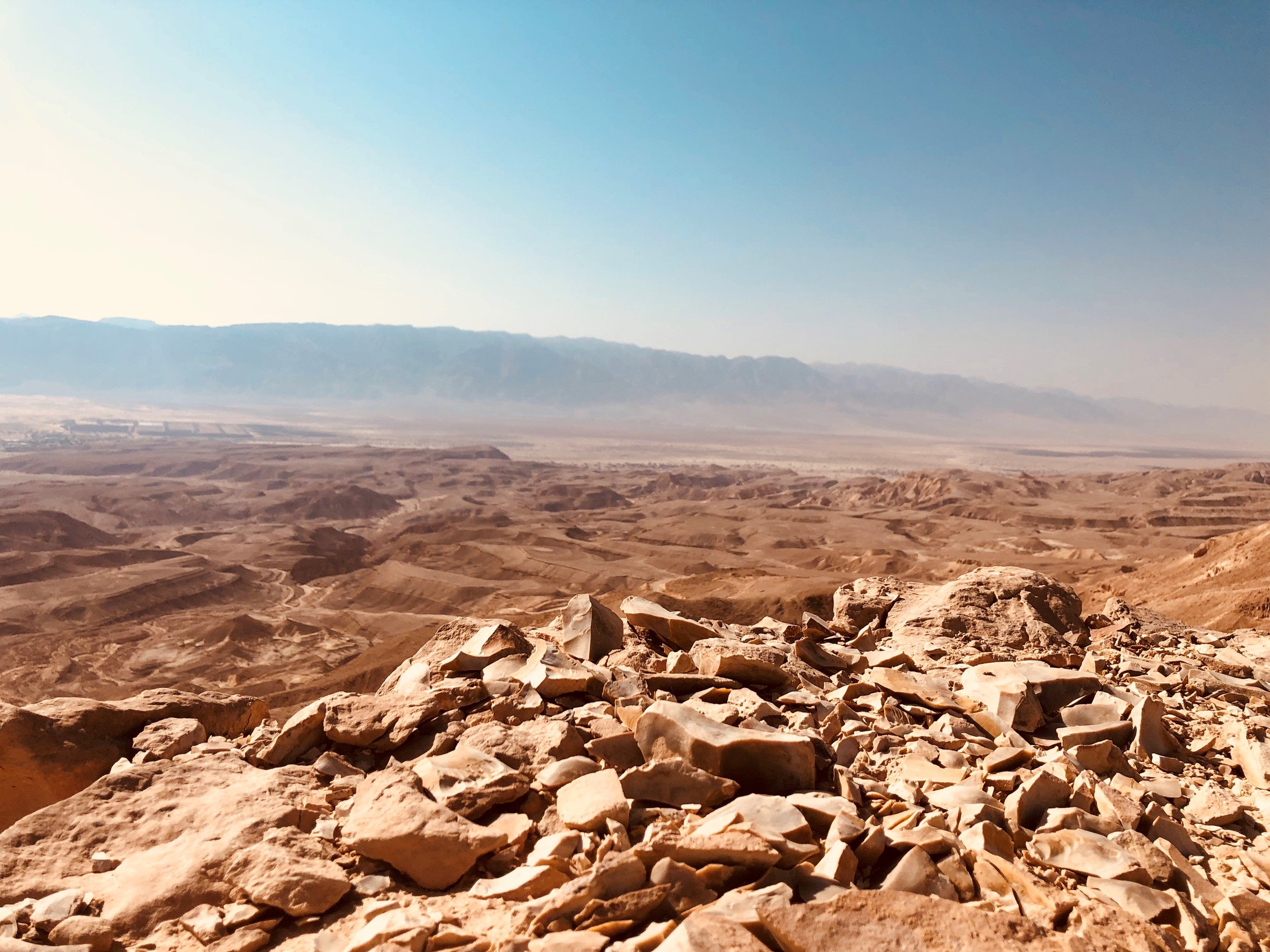 Shaharut | LAT.40