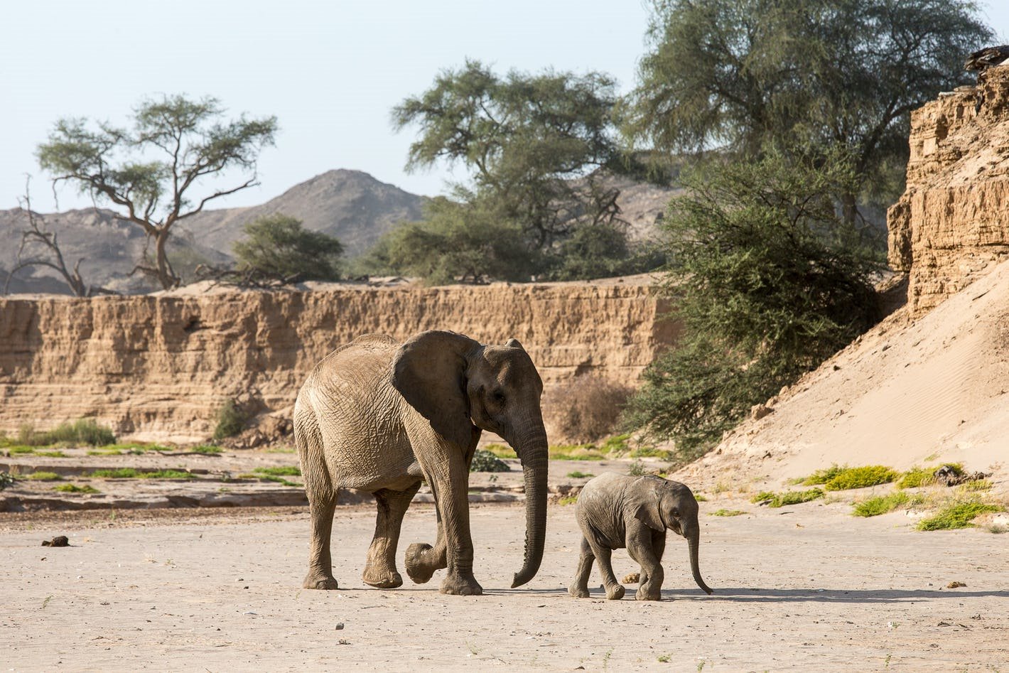Hoanib Skeleton Coast en Skeleton Coast