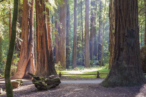 Sonoma County | LAT.40