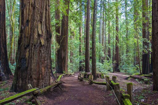 Sonoma County | LAT.40