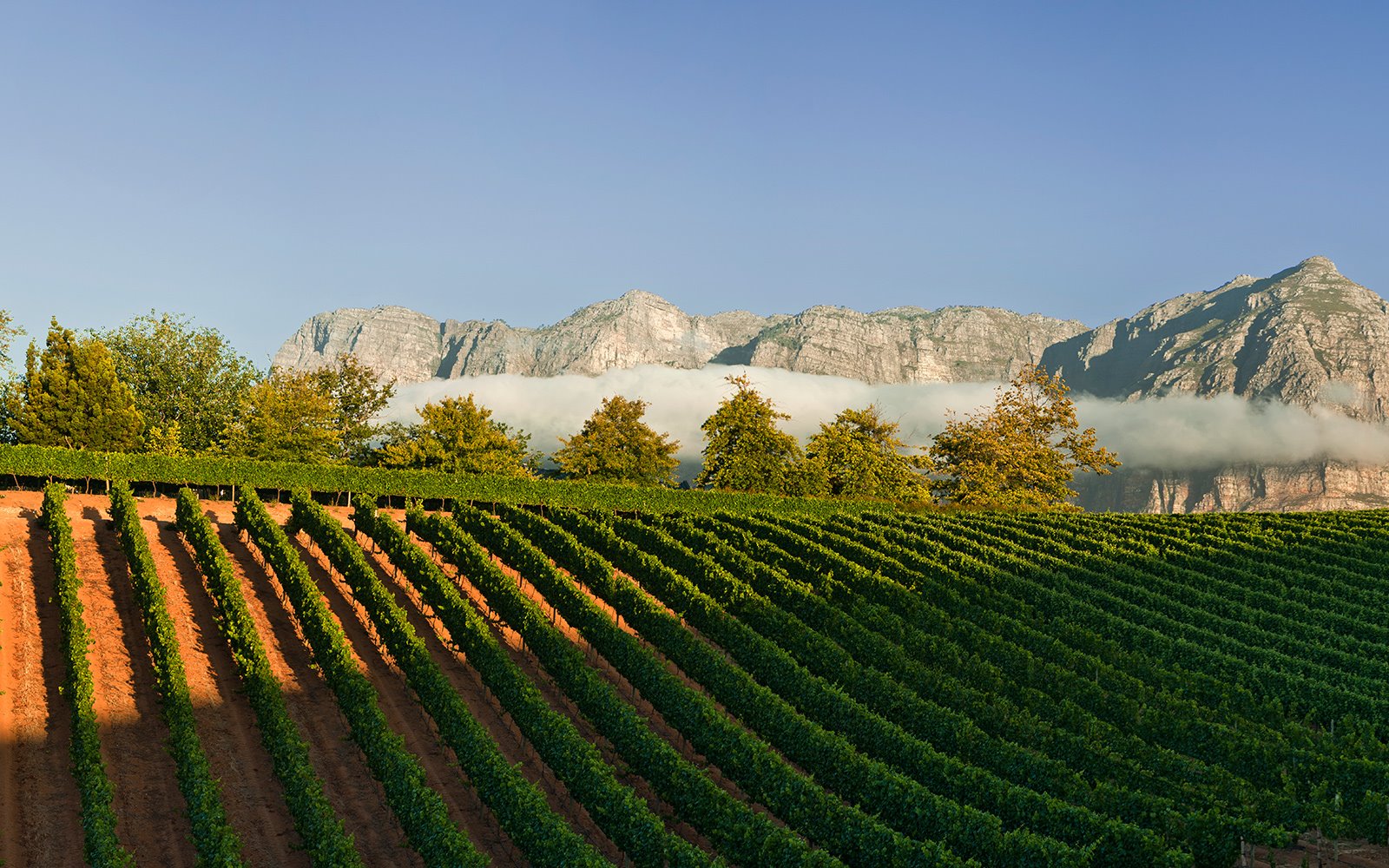 Delaire Graff Estate en Stellenbosch