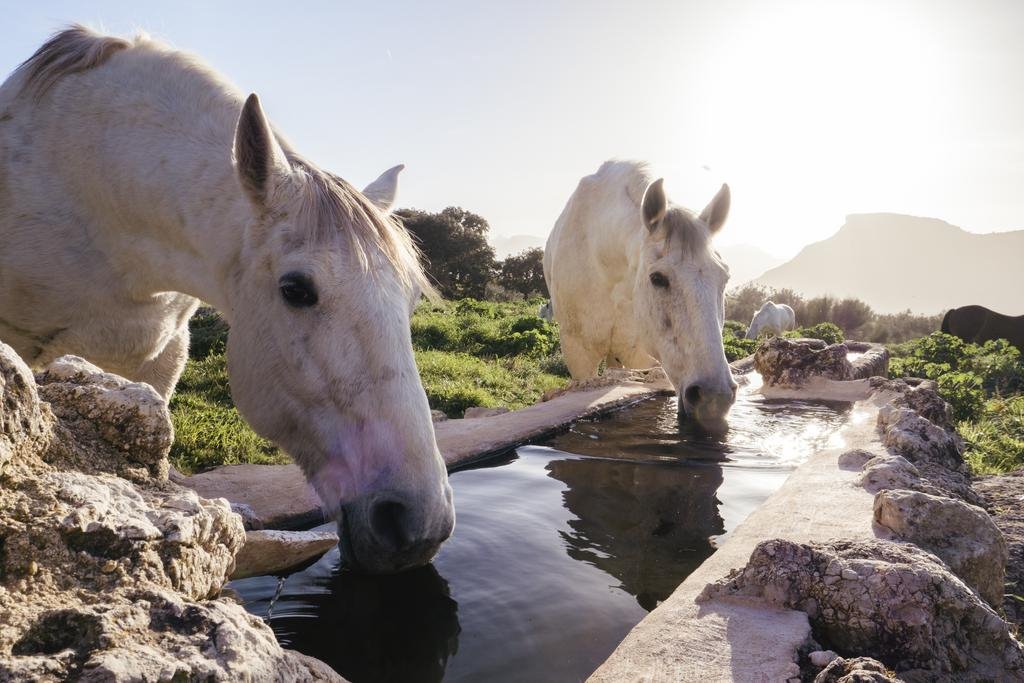 Finca La Donaira en Spain