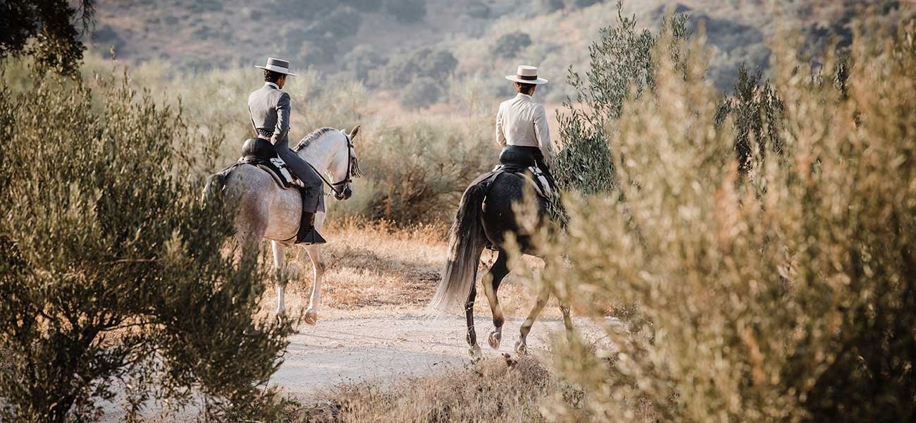 Finca La Donaira en Spain