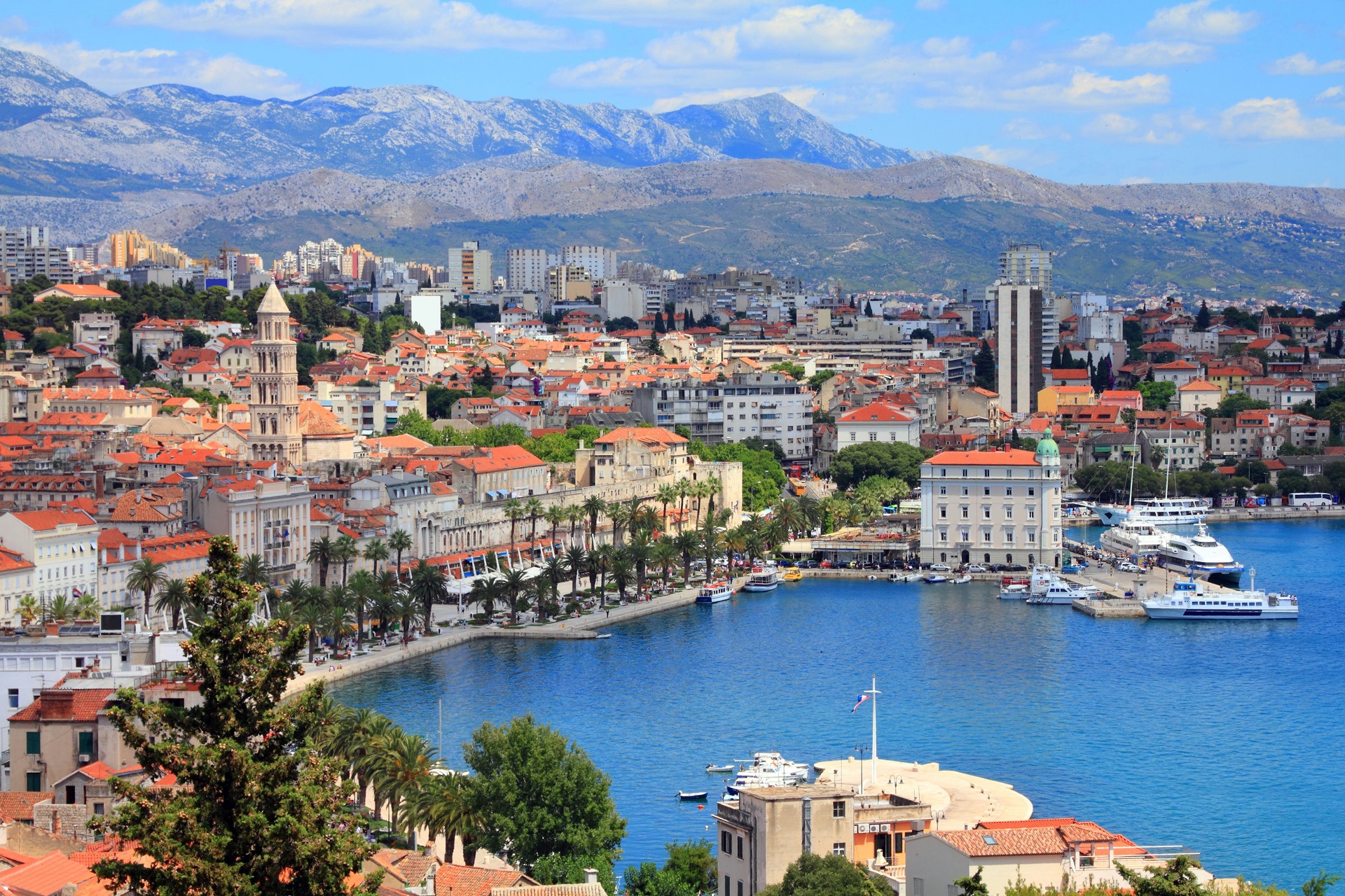 Split | LAT.40