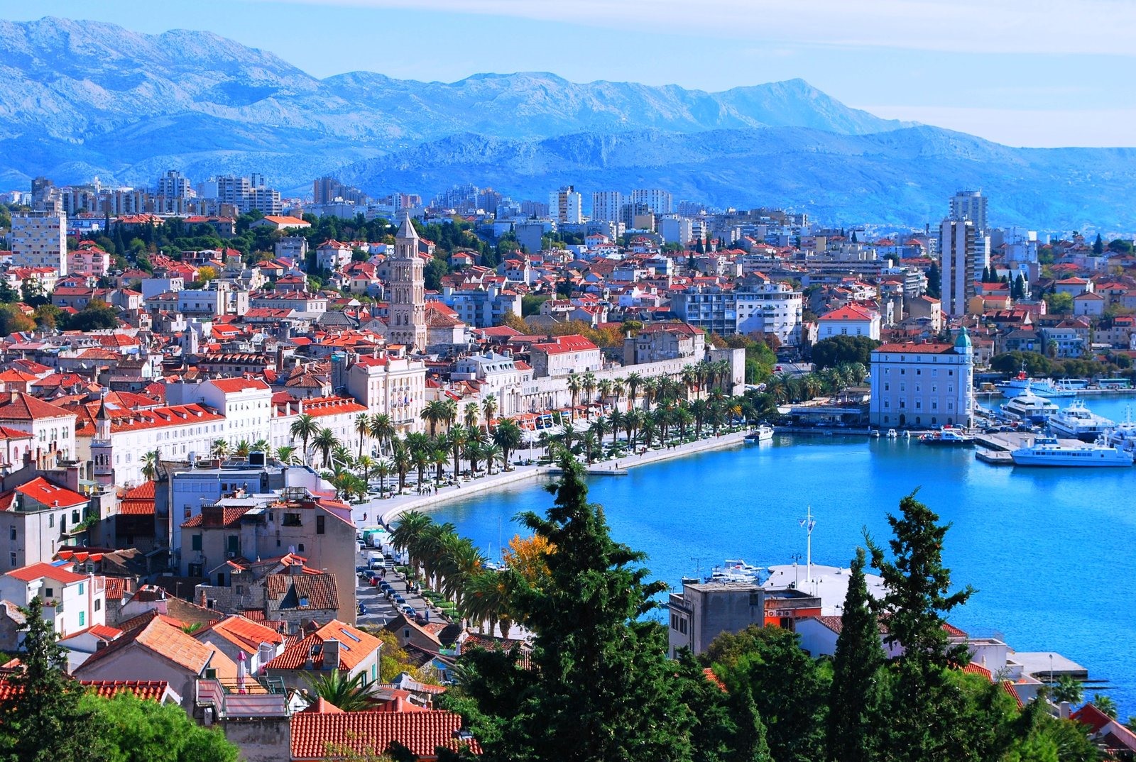 Split | LAT.40