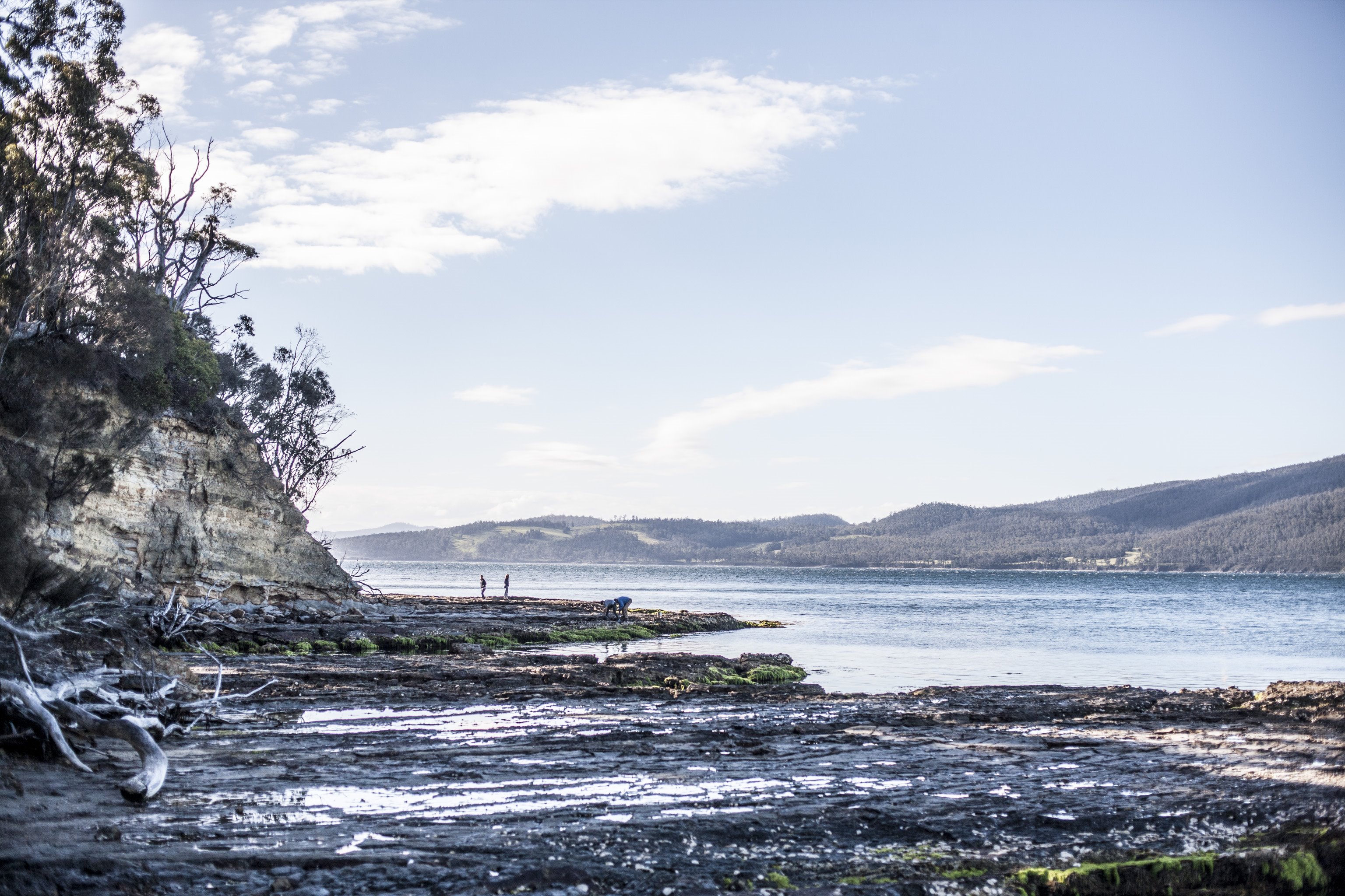 Satellite Island en Tasmania