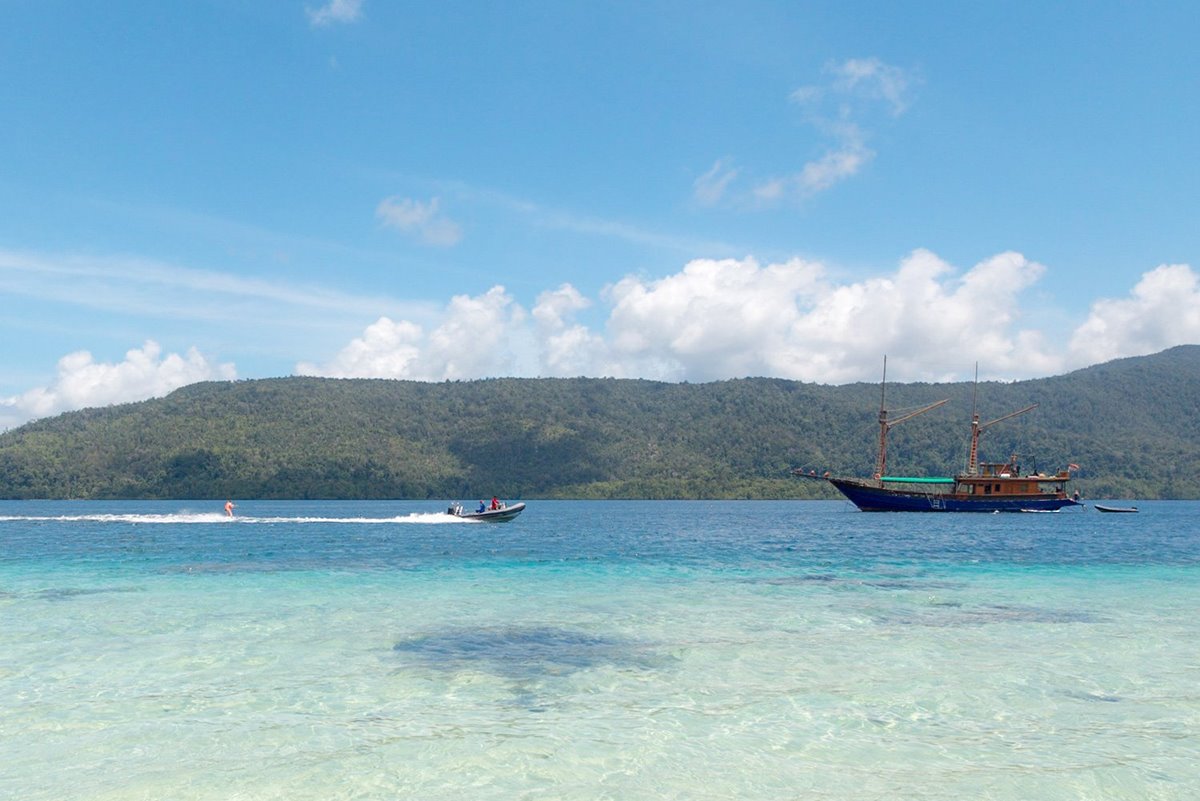 Tiger Blue en Raja Ampat